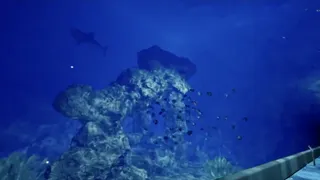 Скриншот 5 к игре ８月３２日の水族館VR