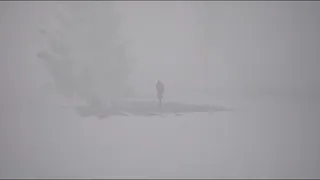 Скриншот 6 к игре WANTED?