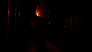 Скриншот 7 к игре SCP: Destruction Protocol