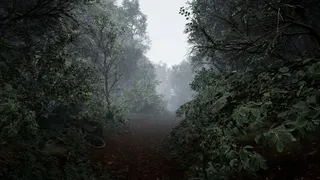 Скриншот 1 к игре TheLostWoods / 迷いの森