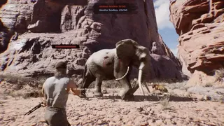 Скриншот 1 к игре Wildlife Warfare
