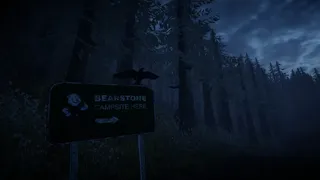 Скриншот 1 к игре Bearstone Campsite