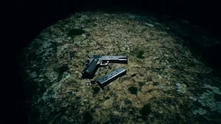 Скриншот 5 к игре P.A.N.I.C