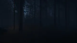 Скриншот 5 к игре The Cursed Ritual