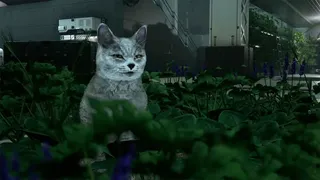 Скриншот 5 к игре Catfall