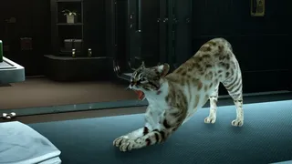 Скриншот 8 к игре Catfall