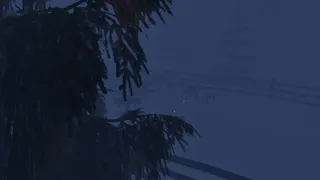 Скриншот 1 к игре Whispers In The Woods