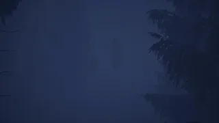 Скриншот 4 к игре Whispers In The Woods