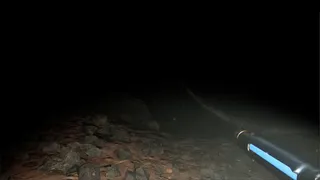 Скриншот 1 к игре Stranded With Darkness