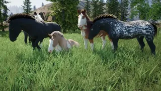 Скриншот 3 к игре The Wild