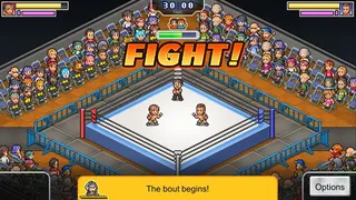 Скриншот 2 к игре Pro Wrestler Story