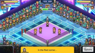 Скриншот 3 к игре Pro Wrestler Story