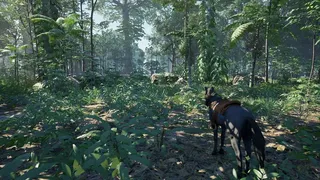 Скриншот 3 к игре Aatral Origins
