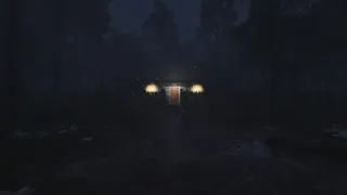 Скриншот 1 к игре Light in the woods