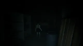 Скриншот 4 к игре Nightfall House