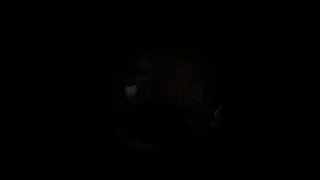 Скриншот 7 к игре Scauage