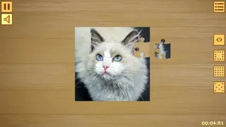 Скриншот 5 к игре Jigsaw Puzzles