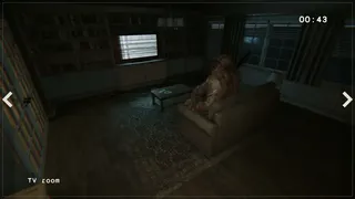 Скриншот 7 к игре Silent Anomalies