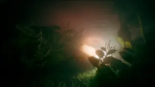 Скриншот 3 к игре Benign Land