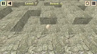 Скриншот 4 к игре Maze Master