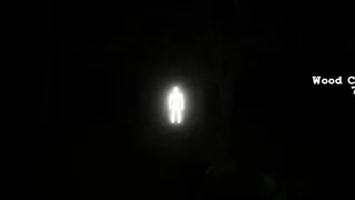 Скриншот 7 к игре Inside The Forest