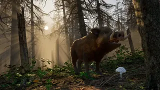 Скриншот 4 к игре Wild Terrain