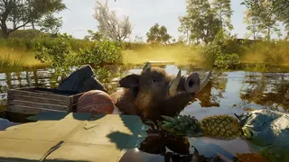 Скриншот 7 к игре Wild Terrain