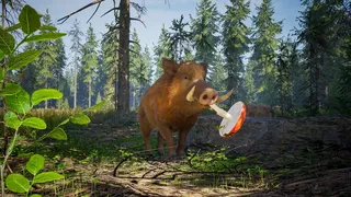 Скриншот 8 к игре Wild Terrain