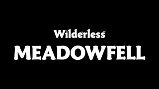 Скриншот 6 к игре Wilderless: Meadowfell