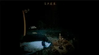 Скриншот 2 к игре Through The Murky Water