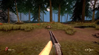 Скриншот 1 к игре Raccoon Hunter