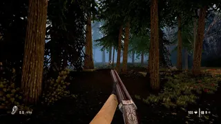 Скриншот 2 к игре Raccoon Hunter