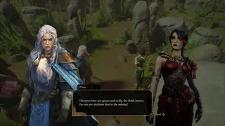 Скриншот 2 к игре Legends of Awen: Rise of The Fianna
