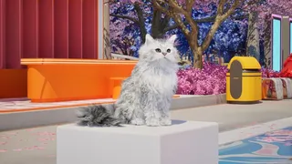 Скриншот 7 к игре Catly