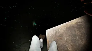 Скриншот 1 к игре Fallen: Into the Darkness
