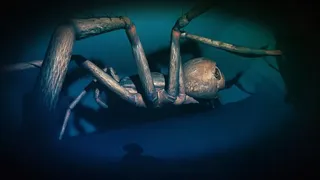 Скриншот 2 к игре VERY BAD DREAMS