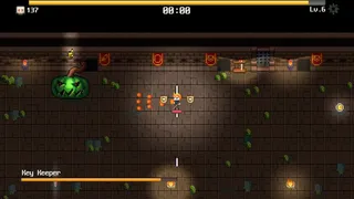 Скриншот 4 к игре Dungeon Destroyer