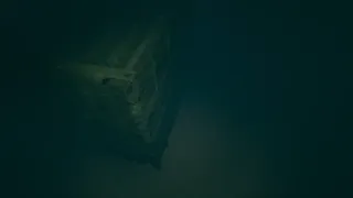 Скриншот 2 к игре Dark of the Depths