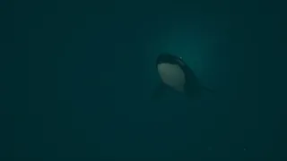 Скриншот 3 к игре Dark of the Depths