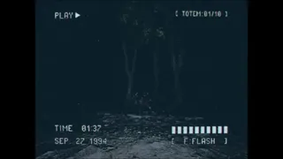 Скриншот 1 к игре Lost Footage : Sound In The Silence