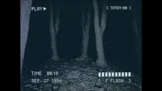 Скриншот 2 к игре Lost Footage : Sound In The Silence