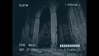 Скриншот 5 к игре Lost Footage : Sound In The Silence