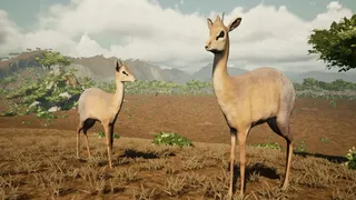 Скриншот 1 к игре Way Of Animals