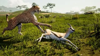 Скриншот 4 к игре Way Of Animals