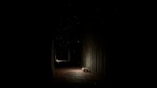 Скриншот 1 к игре TheSilentSnowfall