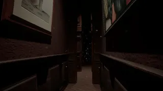 Скриншот 8 к игре TheSilentSnowfall