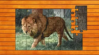 Скриншот 1 к игре Big Cat Jigsaw Quest