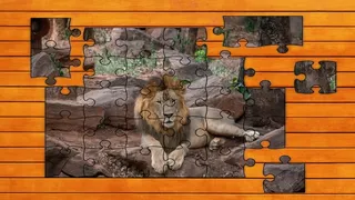 Скриншот 4 к игре Big Cat Jigsaw Quest