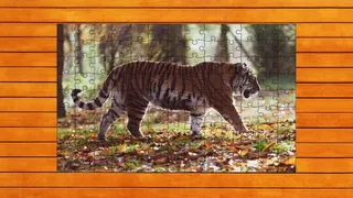 Скриншот 6 к игре Big Cat Jigsaw Quest