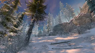 Скриншот 5 к игре Arctic Outpost